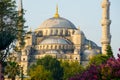 The Blue Mosque - Sultanahmet Camii - Istanbul, Turkey Royalty Free Stock Photo