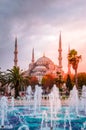 The Blue Mosque, Sultanahmet Camii in sunset, Istanbul, Turkey Royalty Free Stock Photo