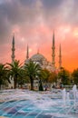 The Blue Mosque, Sultanahmet Camii in sunset, Istanbul, Turkey Royalty Free Stock Photo