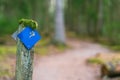 Blue mossy wooden trail sign on path in forest. Tourist and hiker guidance symbol Royalty Free Stock Photo
