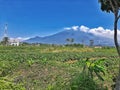 Blue Mount Cereme in Kuningan, West Java