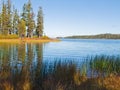 Blue mountain lake with trees and grasses