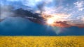 Blue mountains foggy horizon  sky dramatic clouds sun flare sunset wild  field of yellow wild flowers Royalty Free Stock Photo
