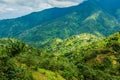 Blue mountains of Jamaica coffee growth place