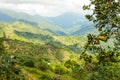 Blue mountains of Jamaica where coffee is grown Royalty Free Stock Photo