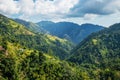 Blue mountains of Jamaica where coffee is grown Royalty Free Stock Photo