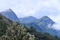 Blue Mountains with Sky with White Clouds and Greenery All Around - Natural Green Kerala Landscape Background Royalty Free Stock Photo