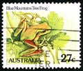 Blue Mountains Tree Frog Australian Postage Stamp