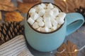 Blue mug with coffee, hot chocolate or cocoa with marshmallow on gray concrete background and lying dry leaves, cones