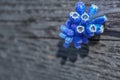 Blue muscari on old gray wooden background