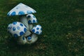 Blue mushroom decoration in the garden. in dark tone.