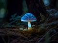 Blue mushroom in the forest. Selective focus. Shallow depth of field