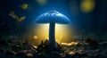 Blue Mushroom Glowing in Forest with Sunlight and Autumn Leaves Royalty Free Stock Photo
