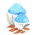 Blue mushroom with pink fall leaf and fern watercolor.