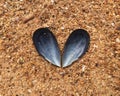 Blue mussel heart Royalty Free Stock Photo