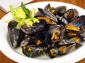 Seafood - Blue Mussel on a white Plate Royalty Free Stock Photo