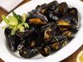 Blue Mussel on a Plate