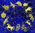 Blue mystic background with chart of zodiac animals2 Royalty Free Stock Photo