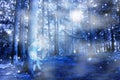 Blue mystic forest Royalty Free Stock Photo