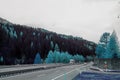 Blue mystically toned autumn forest over highway