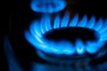 Blue Natural Gas Flames on Kitchen Stove