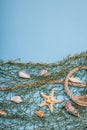 Blue nautical background with sea shells, starfishes and fishing net. Assorted marine animals Royalty Free Stock Photo