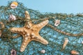 Blue nautical background with sea shells, starfishes and fishing net. Assorted marine animals Royalty Free Stock Photo