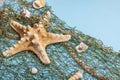 Blue nautical background with sea shells, starfishes and fishing net. Assorted marine animals Royalty Free Stock Photo