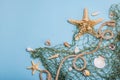 Blue nautical background with sea shells, starfishes and fishing net. Assorted marine animals Royalty Free Stock Photo