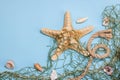 Blue nautical background with sea shells, starfishes and fishing net. Assorted marine animals Royalty Free Stock Photo