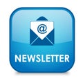 Blue and Navy `NEWSLETTER` web button Royalty Free Stock Photo