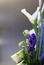 Blue nd white flower bouquet, copy space Royalty Free Stock Photo