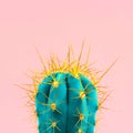 Blue neon cactus on a pink background