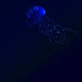 Blue neon jellyfish, ocean wildlife background Royalty Free Stock Photo