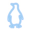 Blue neon sign of penguin isolated on white background. Vector illustration