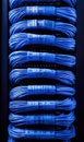 Server Rack with Blue Ethernet Cables in Data Center Royalty Free Stock Photo