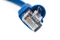 Blue Network Utp Cable, Studio shot on White Background Royalty Free Stock Photo