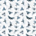 Blue night butterfly, indigo butterfly seamless pattern, wild insects, watercolor vintage, hand drawing