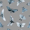 Blue night butterfly, indigo butterfly seamless pattern, wild insects, watercolor vintage illustration Royalty Free Stock Photo