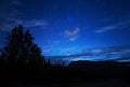 Blue Night Sky Stars And Milky Way With Towering Pine Trees