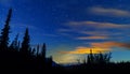 Blue Night Sky Stars And Milky Way With Towering Pine Trees