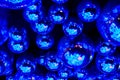 Blue nightclub disco balls