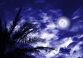 Blue nigth moon