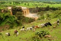 Blue Nile Falls in Ethiopia Royalty Free Stock Photo