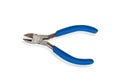 Blue nipper Royalty Free Stock Photo