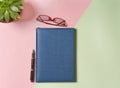 Blue notebook, pen, glasses, succulent on desk, soft background, flat lay, top view, copy space Royalty Free Stock Photo