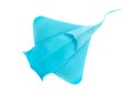 Blue ocean ray of origami Royalty Free Stock Photo