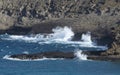 Blue ocean waves breaking on rocky coast Royalty Free Stock Photo