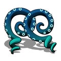 Blue octopus tentacle isolated on a white background. Vector cartoon close-up illustration. Royalty Free Stock Photo