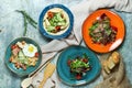 Multi-colored plates with different salads. Beautiful serving of dishes. Light gray background. Restaurant menu Royalty Free Stock Photo